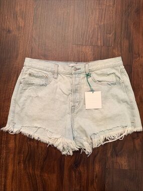 NWT Pistola Nova Relaxed High Rise Cut Off